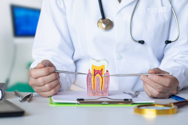 Best Walk-In Emergency Dentist in Urbana, OH